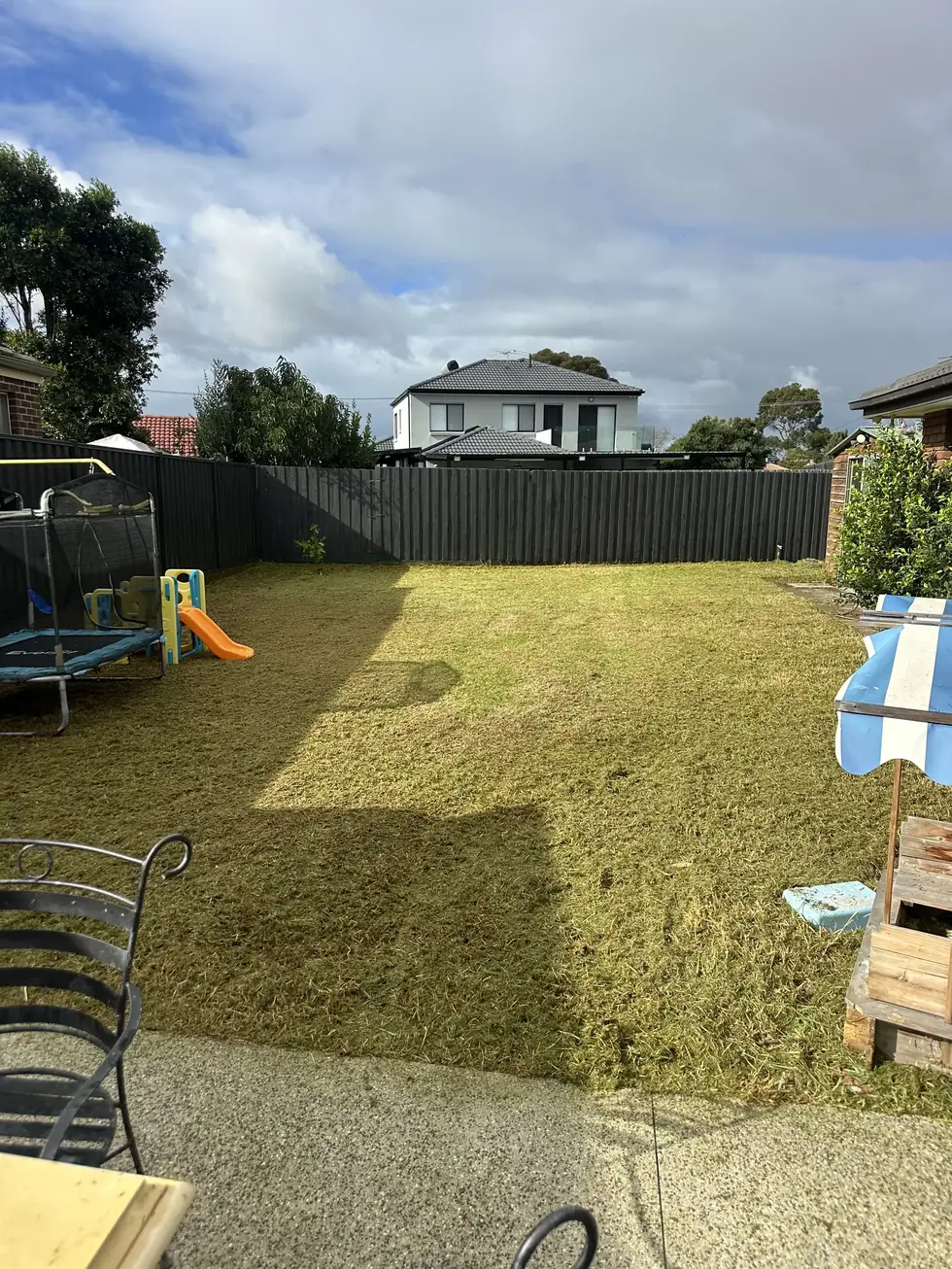 Family backyard with mown lawn and kids slide, C&J recent job