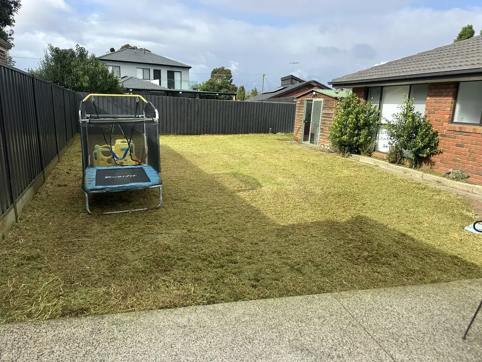Recently mown backyard with family trampoline, C&J job