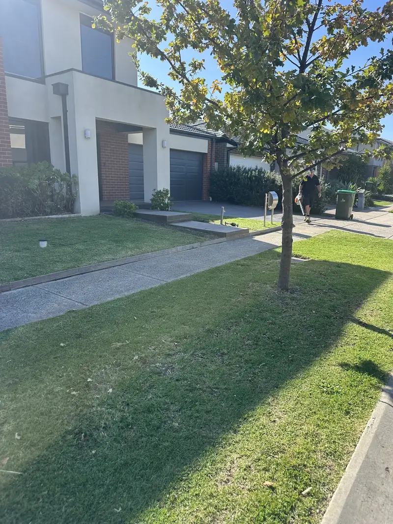 Modern home frontage with mature street tree maintained by C&J