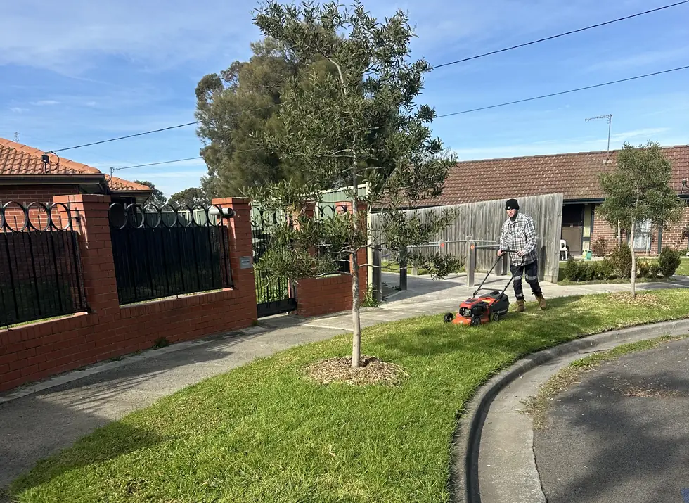C&J mowing a nature strip mid-job, Melbourne's west
